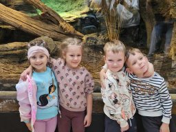2025-05-20 Biedronki w ZOO